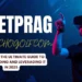 insetprag