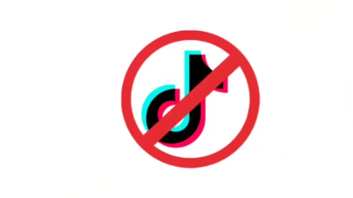 C3tti on TikTok