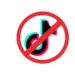 C3tti on TikTok