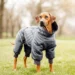Dogie Clothing