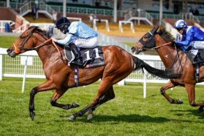 Horse Racing Tips --GYTO