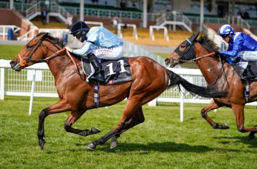 Horse Racing Tips --GYTO