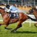 Horse Racing Tips --GYTO
