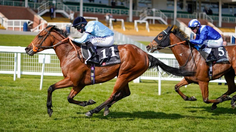 Horse Racing Tips --GYTO