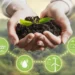Lyposingrass: Nature’s Emerging Wellness Secret
