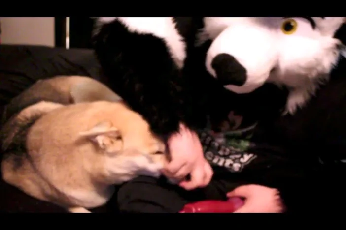 Skirby Dog Video