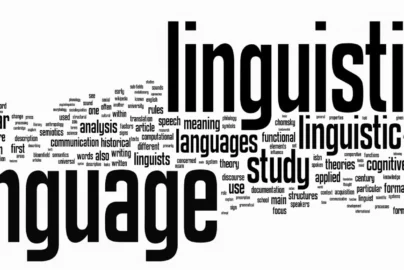 Assimilasjon: Understanding the Meaning Across Different Fie