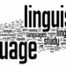 Assimilasjon: Understanding the Meaning Across Different Fie