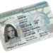 Maryia Vviadzenskaya Green Card Detainment