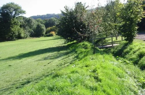Riverbank Collapse Iford Playing Fields