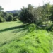Riverbank Collapse Iford Playing Fields