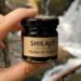 Shiligent: Ancient Ayurvedic Marvel — Health Benefits, Uses, Safety, and More
