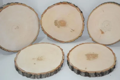 Slices by Sadik Kanganberia