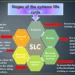 What are The 5 Key Stages of Resilience Lifecycle Framework?