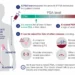 What is a Dangerous Psa Level After Prostate Removal?