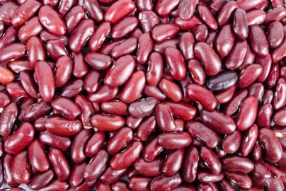 What Are beanssssssssssssssssssssssssssssssssssssssss