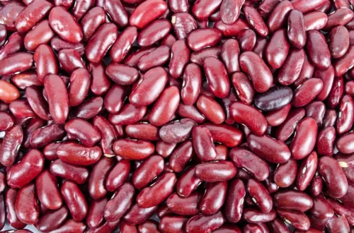 What Are beanssssssssssssssssssssssssssssssssssssssss