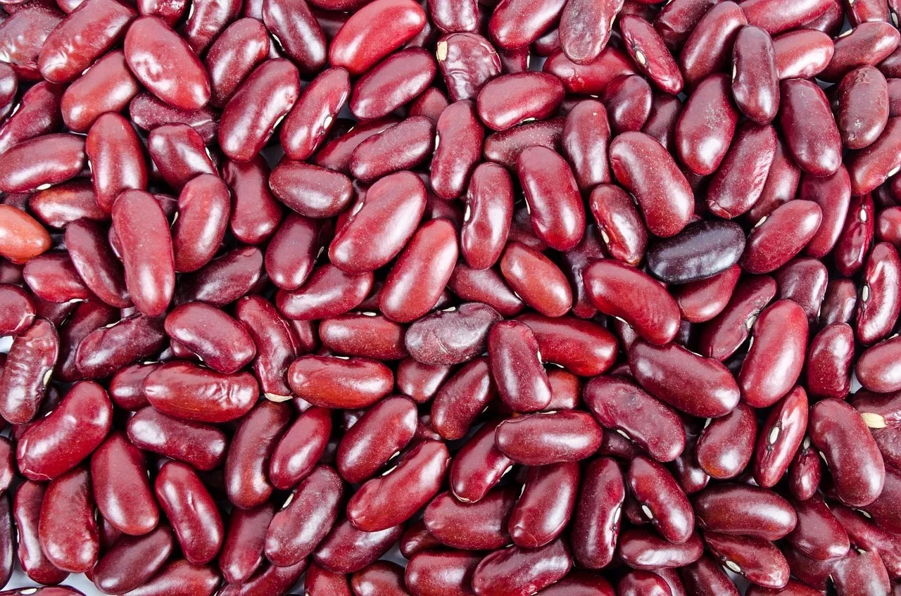 What Are beanssssssssssssssssssssssssssssssssssssssss