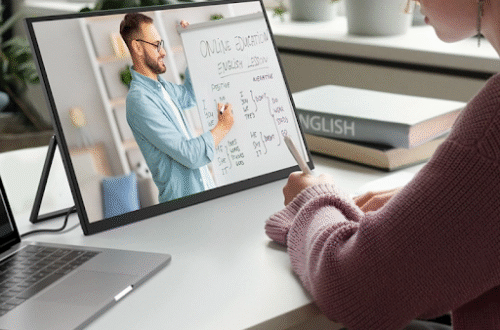 22-Inch Portable Monitors