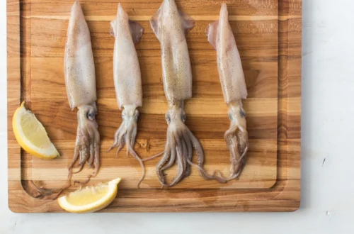 Calamariere: Everything You Need to Know