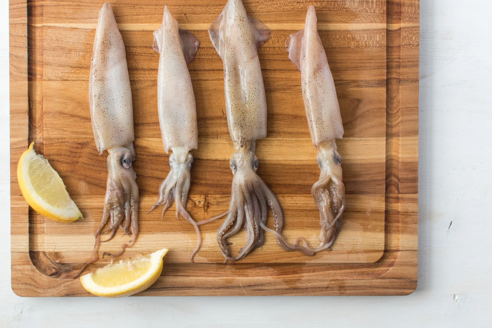 Calamariere: Everything You Need to Know