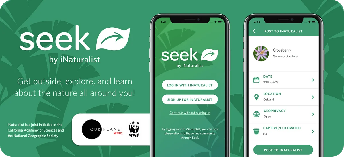 WebAppSeek