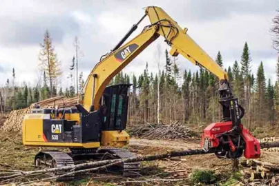 Forestry Caterpillar: Complete Guide to Cat Forestry Equipment