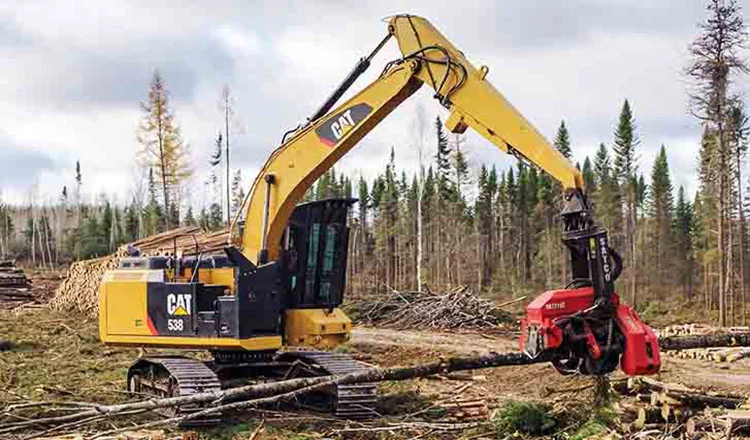 Forestry Caterpillar: Complete Guide to Cat Forestry Equipment