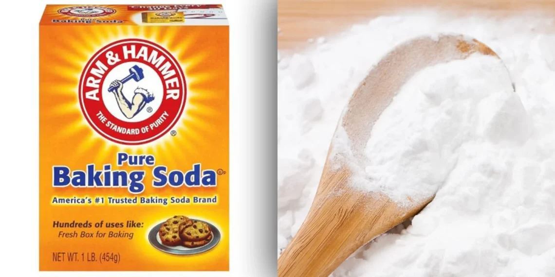 Is Bicarbonate of Soda the Same as Baking Soda?