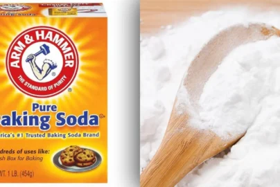 Is Bicarbonate of Soda the Same as Baking Soda?