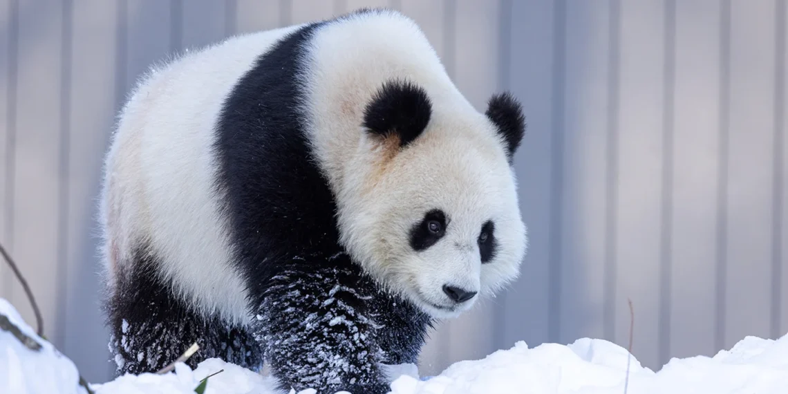 Kerkt: Meaning, Concept, Digital Presence, and Why It’s Gaining