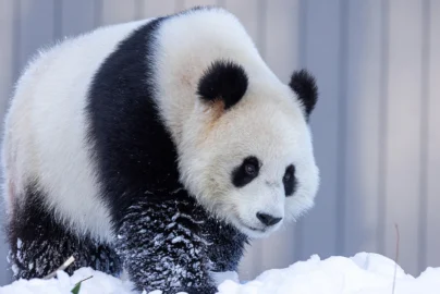 Kerkt: Meaning, Concept, Digital Presence, and Why It’s Gaining