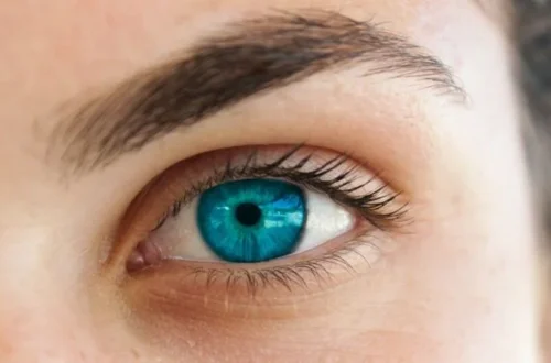 Blue Eyes or Brown Eyes: Which Are More Sensitive to Light?