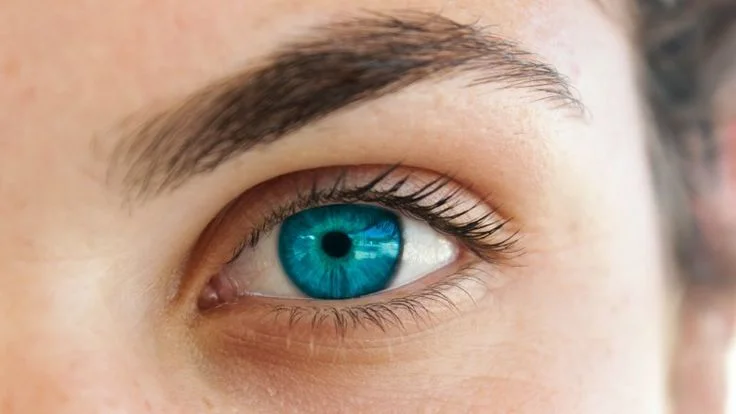 Blue Eyes or Brown Eyes: Which Are More Sensitive to Light?
