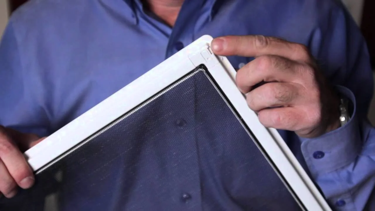 Tintzy: The Complete Guide to Removable Window