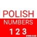 95030210235 – Full 2026 Investigation (Poland Number Analysis