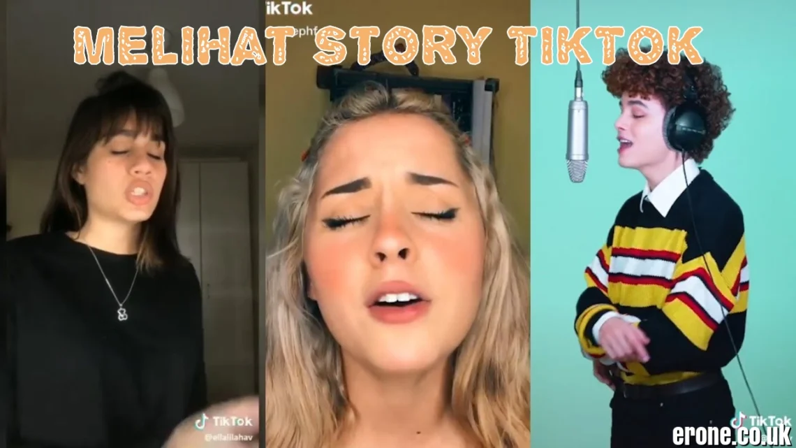 Melihat Story TikTok