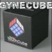 Gynecube (Cube Pessary) 2026: Complete Guide to Uses, Benefits