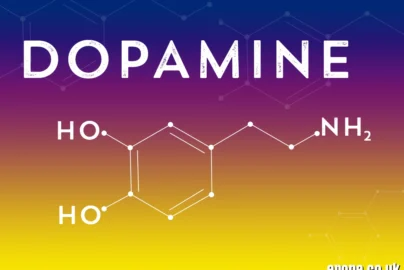 Doaine (Dopamine) Explained (2026 Guide) – Functions, Imbalance