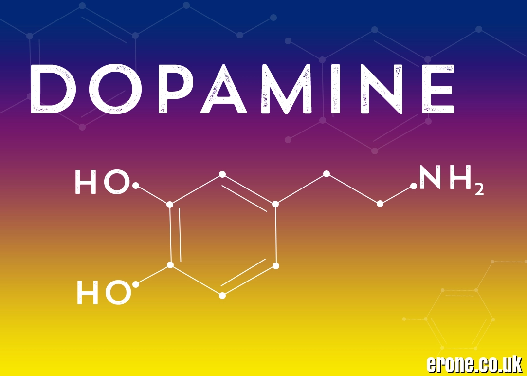 Doaine (Dopamine) Explained (2026 Guide) – Functions, Imbalance