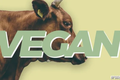 Veganisch in the UK (2026): The Complete Guide to Veganism
