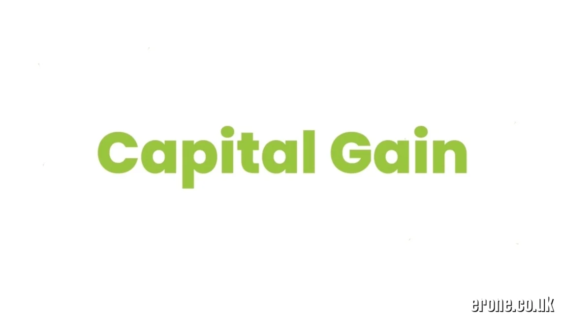 QLCredit: Overview of QL Credit Gain Finance Company Limited