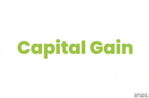 QLCredit: Overview of QL Credit Gain Finance Company Limited