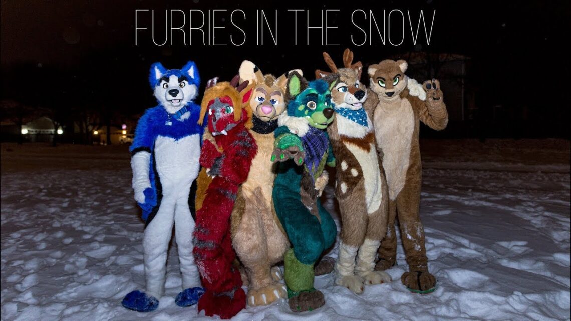 Top Benefits of Snow Defenders for Your Furry Friends