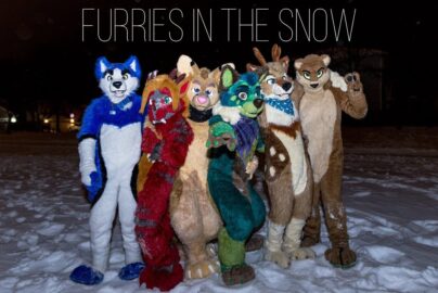 Top Benefits of Snow Defenders for Your Furry Friends