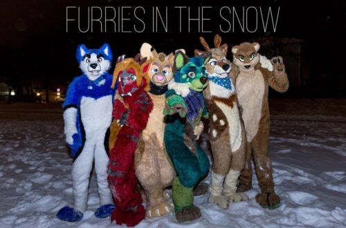 Top Benefits of Snow Defenders for Your Furry Friends