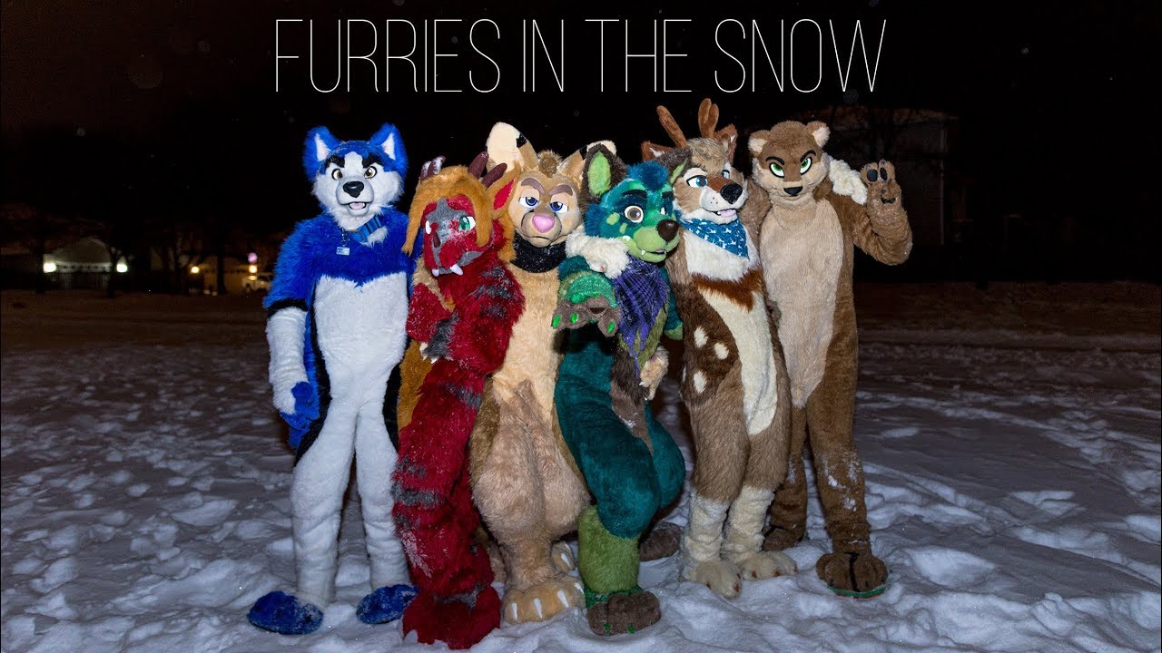 Top Benefits of Snow Defenders for Your Furry Friends