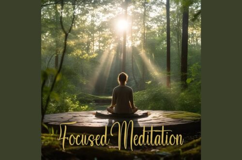 Seven Ways to Reconnect with Nature in a Serene Wilderness Setting