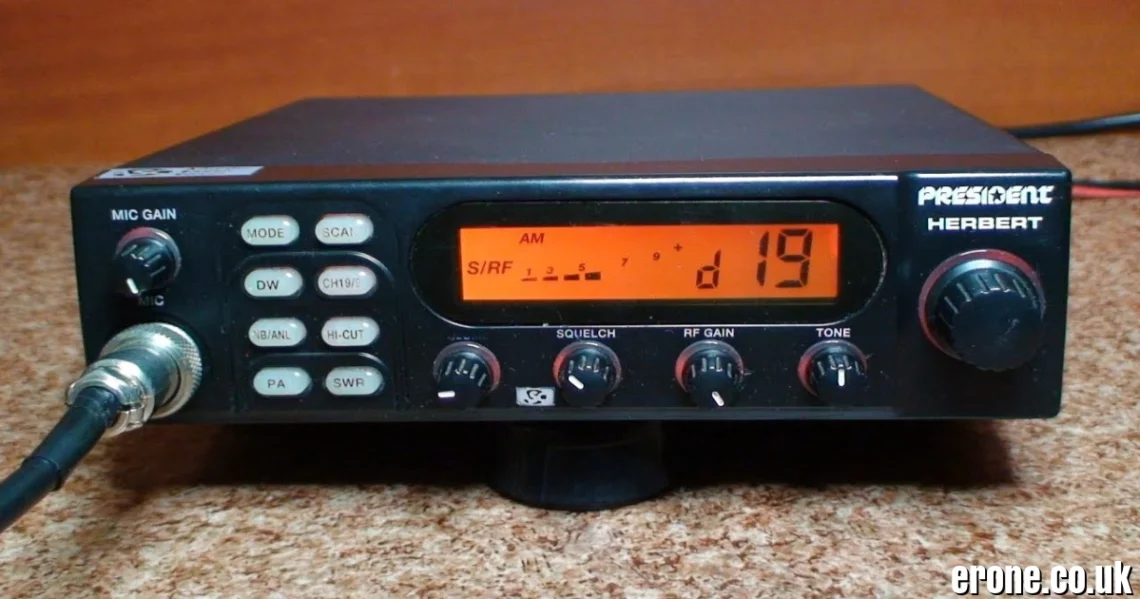 Rádiem: Understanding the Instrumental Singular in Czech and Slovak