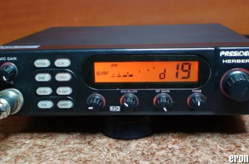 Rádiem: Understanding the Instrumental Singular in Czech and Slovak